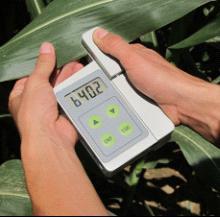 Chlorophyll-Meter.JPG